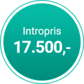 intropris-17500